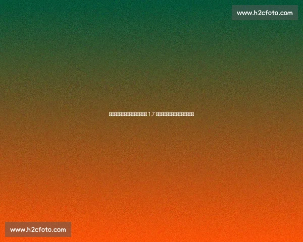 女排世联赛观众纪录刷新!土耳其 1.7 万上座创历史,中国两站憾失良机