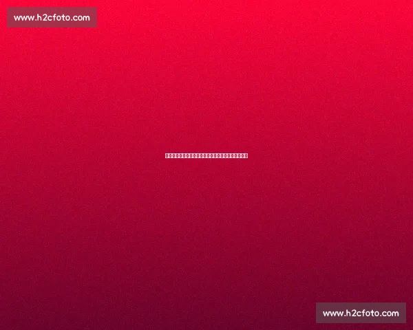 塔利亚菲科明夏自由身！塞维利亚加速敲定阿根廷国脚