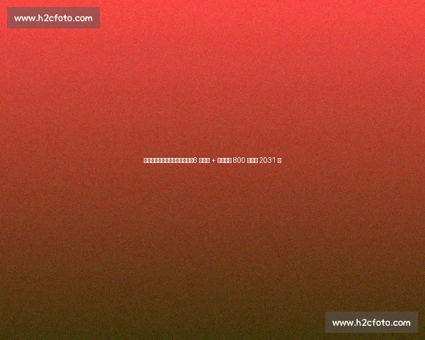 巴萨敲定尼科・威廉姆斯续约：6 年长约 + 税后年薪 800 万欧至 2031 年