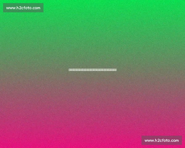 广州龙狮对阵辽宁本钢门票开售时间价格及购票指南官方渠道抢票汇总