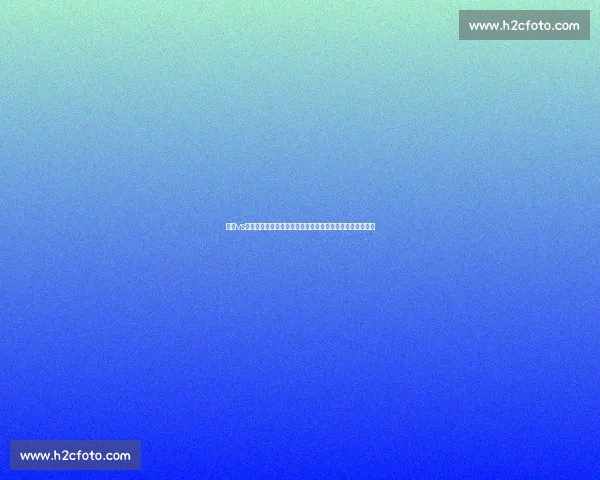 凯恩vs凯恩宿命对决双雄同名之战引爆全场改写历史谁主沉浮巅峰