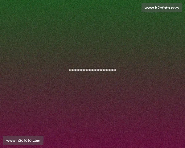 安德森席尔瓦对决人猿的跨界想象与力量巅峰之战擂台传奇对抗假想