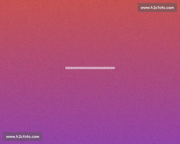 山东迎战福建强强对话攻防博弈看点全面解析赛前走势与关键球员表现前瞻